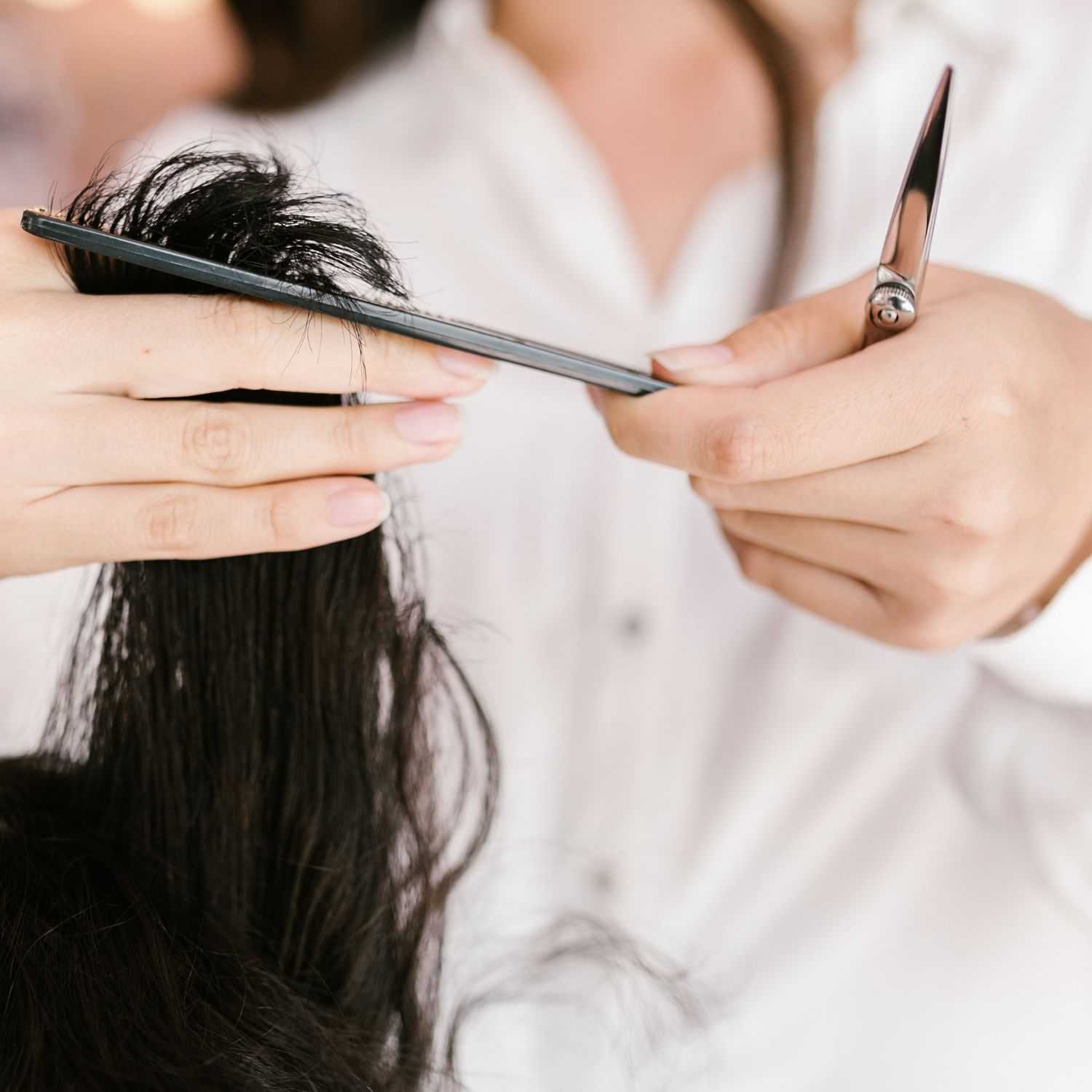 A stylist holds a section of hair above a client's head with a comb, ready to make a cut.